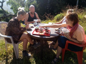Shakshi Yoga & Ayurveda Retreat